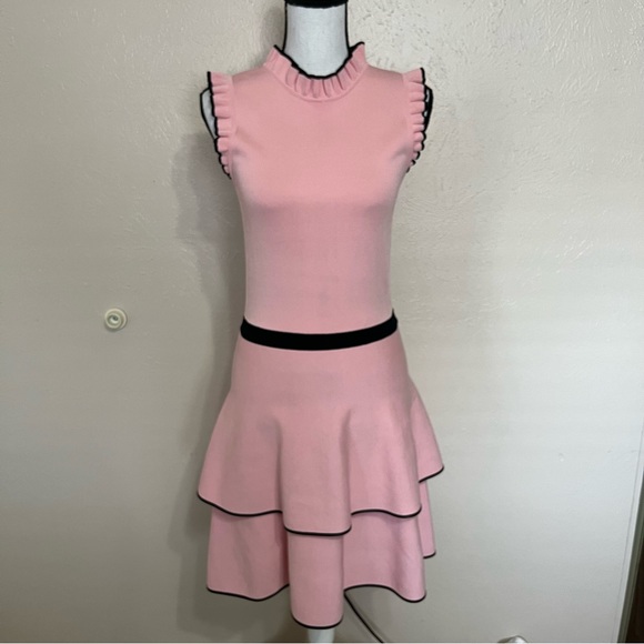 Parker Ryker Ballerina Pink Ruffle Knit Sleeveless Dress Womens Size Medium - Picture 3 of 13